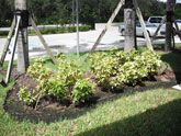 Before photo of FBI Building landscaping